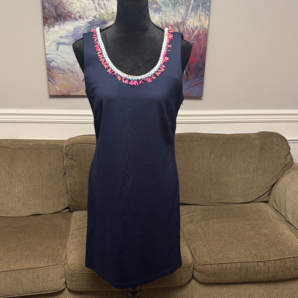 Navy Sleeveless Dress With Pink Accents